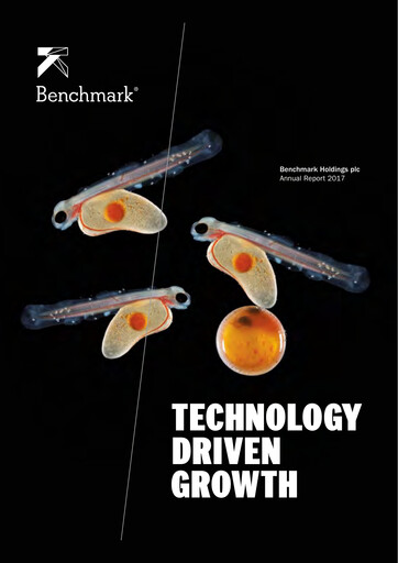 Thumbnail Benchmark Holdings Annual Report 2017