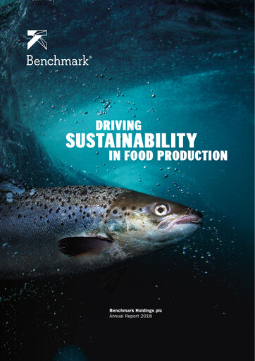 Thumbnail Benchmark Holdings Annual Report 2018