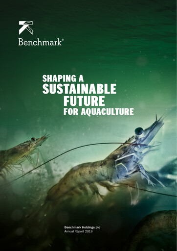 Thumbnail Benchmark Holdings Annual Report 2019