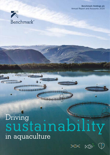 Thumbnail Benchmark Holdings Annual Report 2020