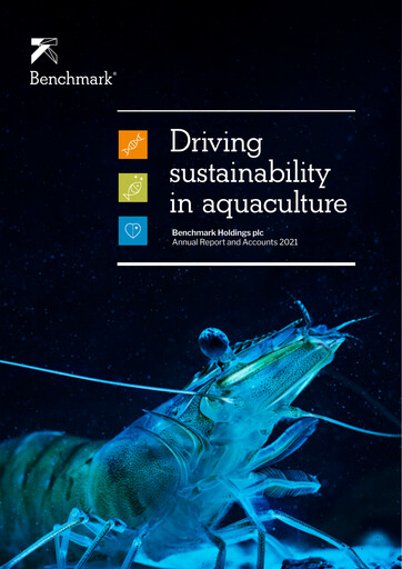 Thumbnail Benchmark Holdings Annual Report 2021