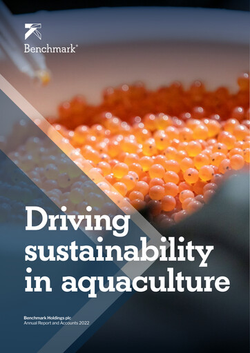 Thumbnail Benchmark Holdings Annual Report 2022