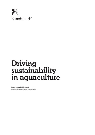 Thumbnail Benchmark Holdings Annual Report 2024