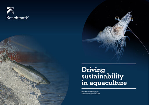 Thumbnail Benchmark Holdings Sustainability Report 2023