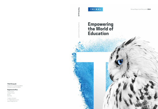 Thumbnail Tribal Group Annual Report 2016