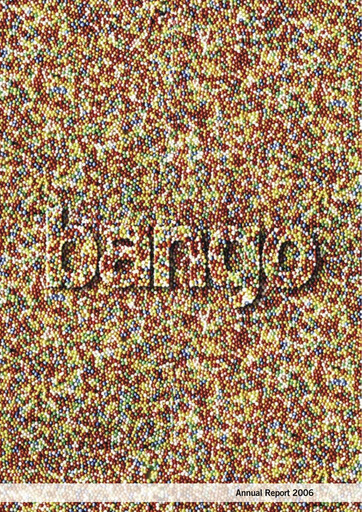 Miniature Bango Rapport annuel 2006