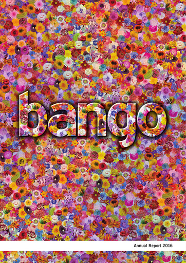 Miniature Bango Rapport annuel 2016