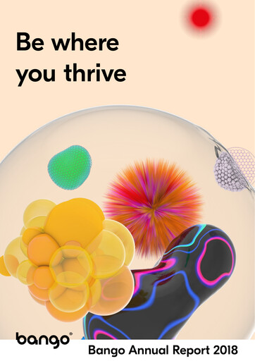 Miniature Bango Rapport annuel 2018