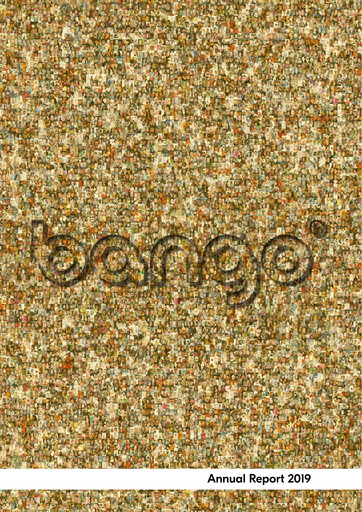 Miniature Bango Rapport annuel 2019