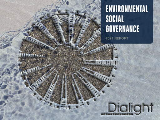Thumbnail Dialight plc ESG Report 2021
