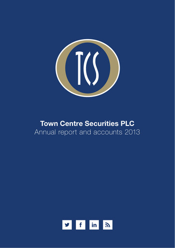 Miniature Town Centre Securities Rapport annuel 2013
