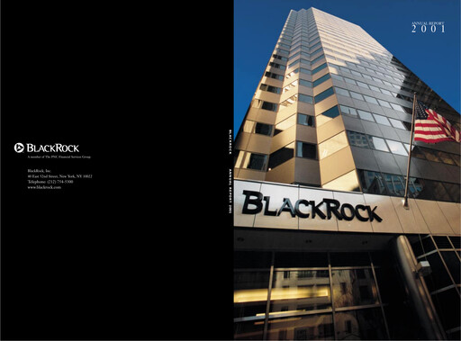 Vorschaubild BlackRock Jahresbericht 2001