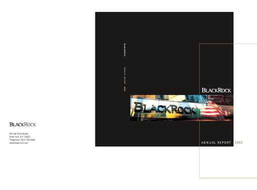 Vorschaubild BlackRock Jahresbericht 2002