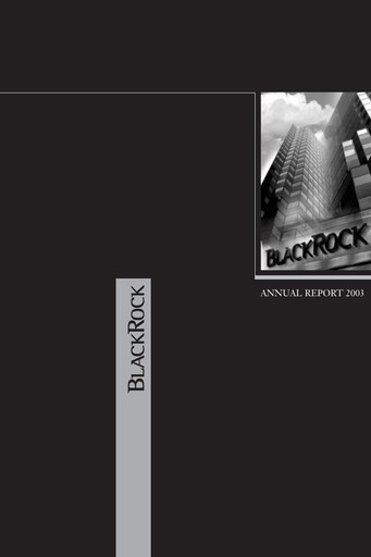 Vorschaubild BlackRock Jahresbericht 2003