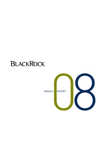 Vorschaubild BlackRock Jahresbericht 2008