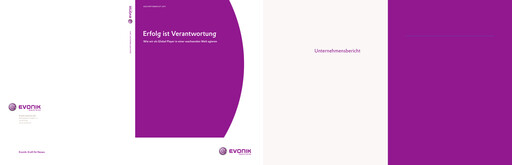 Miniature Evonik Industries Rapport annuel 2011