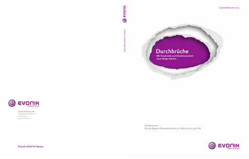 Miniature Evonik Industries Rapport annuel 2012