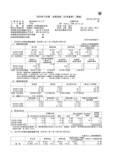 Thumbnail Aeria Financial Statement fy2020