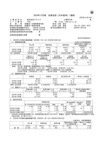 Thumbnail Aeria Financial Statement fy2024