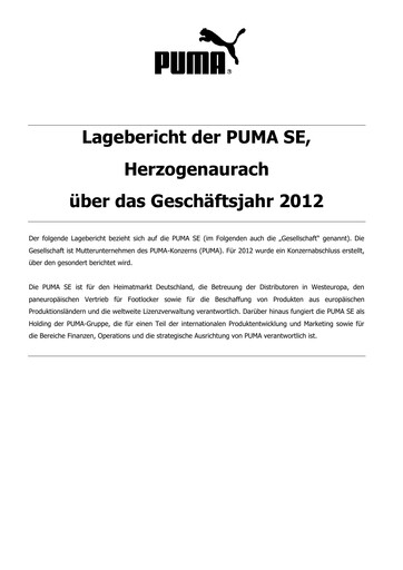 Thumbnail PUMA Financial Statement 2012