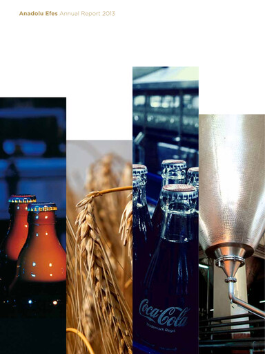 Thumbnail Efes Beverage Group
 Annual Report 2013