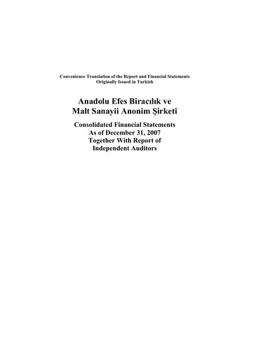Thumbnail Efes Beverage Group
 Financial Statement 2007-q4