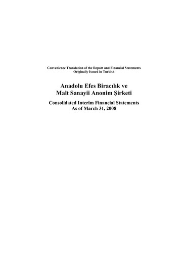 Thumbnail Efes Beverage Group
 Financial Statement 2008-q1