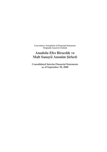 Thumbnail Efes Beverage Group
 Financial Statement 2008-q3