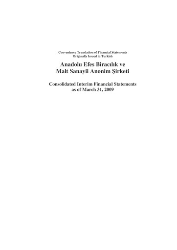 Thumbnail Efes Beverage Group
 Financial Statement 2009-q1