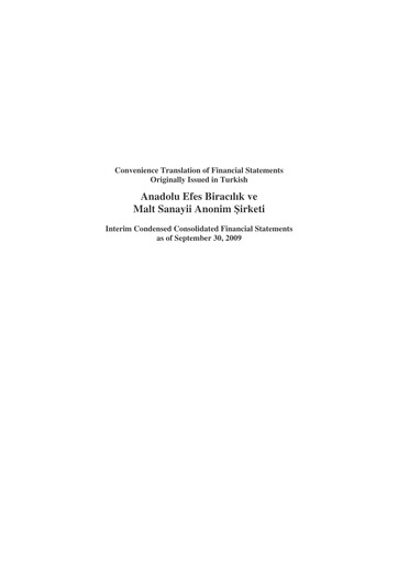 Thumbnail Efes Beverage Group
 Financial Statement 2009-q3