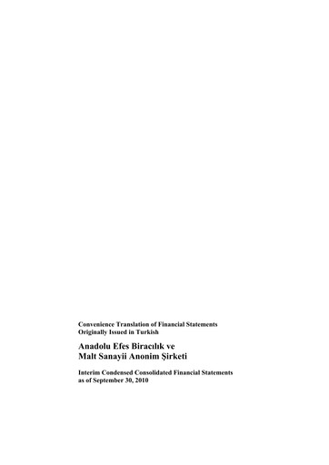 Thumbnail Efes Beverage Group
 Financial Statement 2010-q3