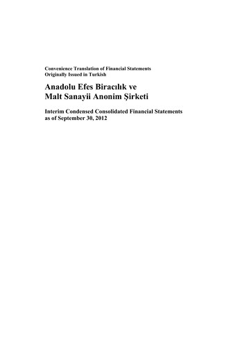 Thumbnail Efes Beverage Group
 Financial Statement 2012-q3