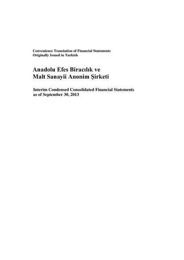 Thumbnail Efes Beverage Group
 Financial Statement 2013-q3