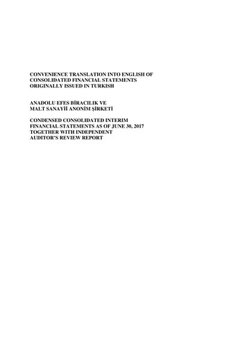 Thumbnail Efes Beverage Group
 Financial Statement 2017-h1