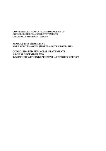 Thumbnail Efes Beverage Group
 Financial Statement 2020-q4
