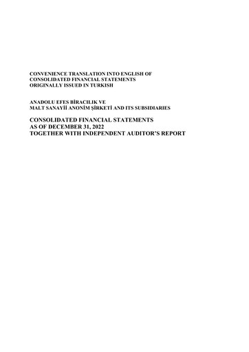 Thumbnail Efes Beverage Group
 Financial Statement 2022-q4