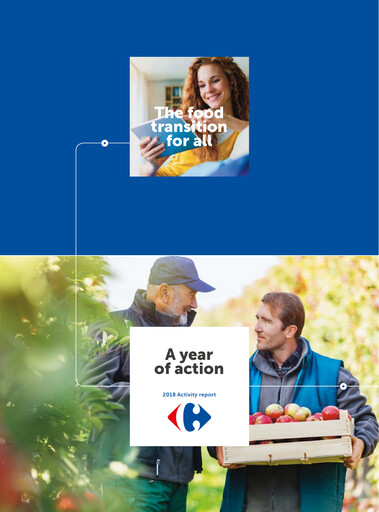 Thumbnail Carrefour Annual Report 2018