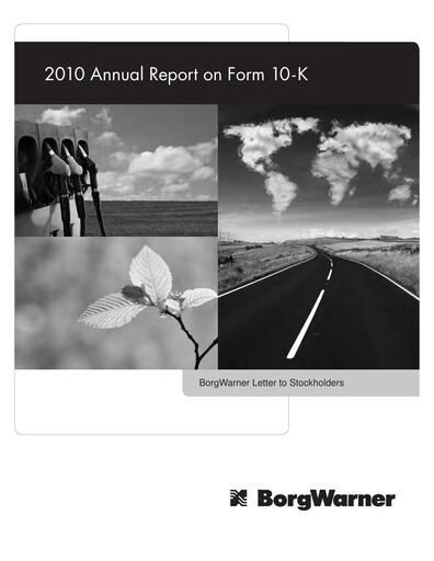 Thumbnail BorgWarner Annual Report 2010