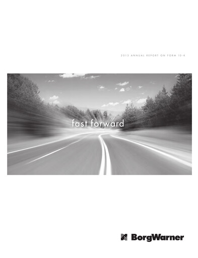 Thumbnail BorgWarner Annual Report 2013