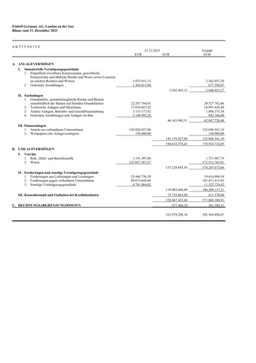 Thumbnail Einhell Germany Financial Statement 2023