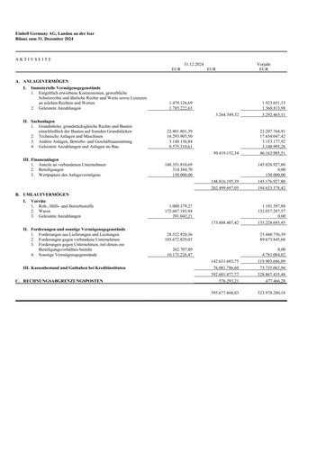 Thumbnail Einhell Germany Financial Statement 2024