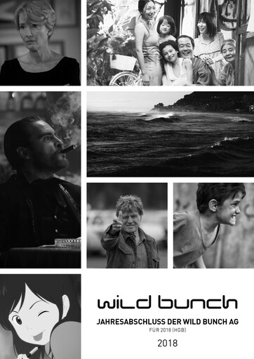 Thumbnail Wild Bunch Financial Statement 2018