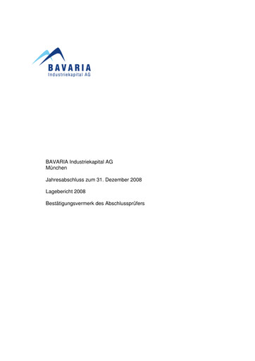 Thumbnail BAVARIA Industries Group AG Financial Statement 2008