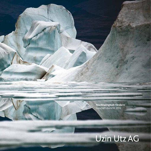 Thumbnail Uzin Utz Annual Report 2012