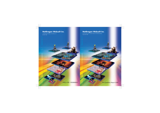 Thumbnail NetDragon Websoft Quarterly Report 2008-q1