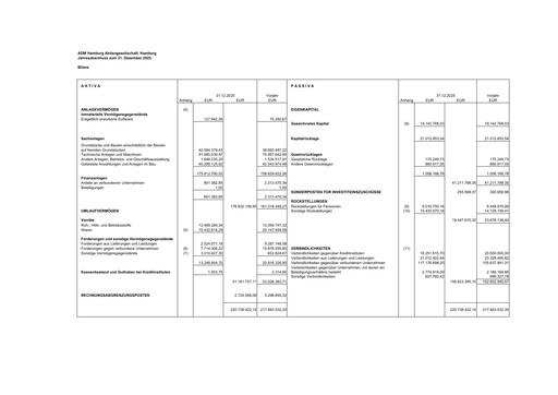 Thumbnail ADM Hamburg Financial Statement 2025