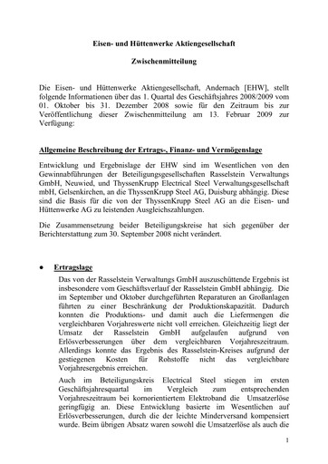Thumbnail Eisen- und Hüttenwerke Quarterly Report 2008-2009-q1