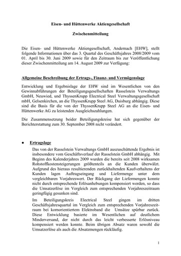 Thumbnail Eisen- und Hüttenwerke Quarterly Report 2008-2009-q3