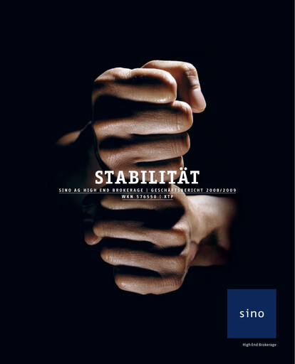 Miniature Sino AG Rapport annuel 2008-2009