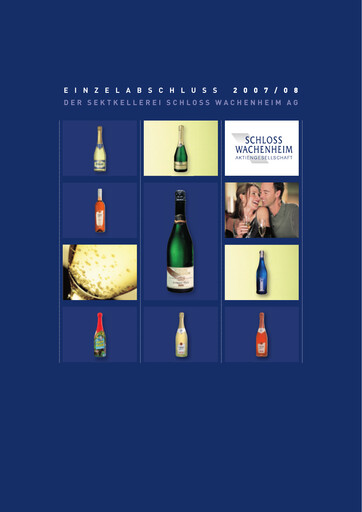 Thumbnail Schloss Wachenheim Financial Statement 2007-2008